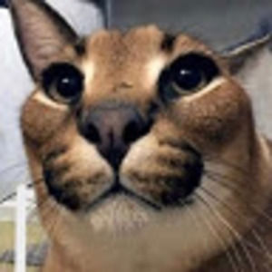 Meet your Posher, Borrowed